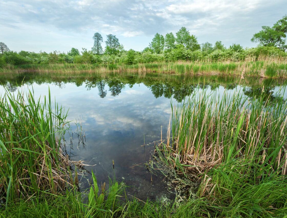 Flood mitigation